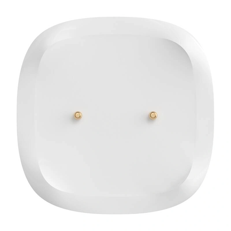 SONOFF SNZB-05P smart ZigBee flood/water leak sensor (+battery)