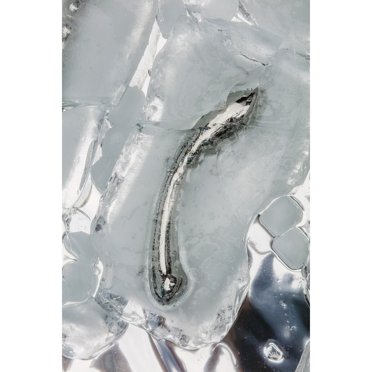 Dildo Le Wand Arch Silver Dildo Le Wand Arch Silver