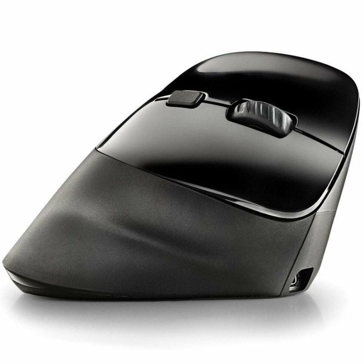 Mouse NGS Mouse NGS