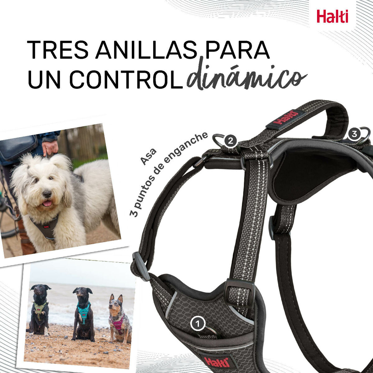 Dog Harness Company of Animals Grey XS 20-32 cm