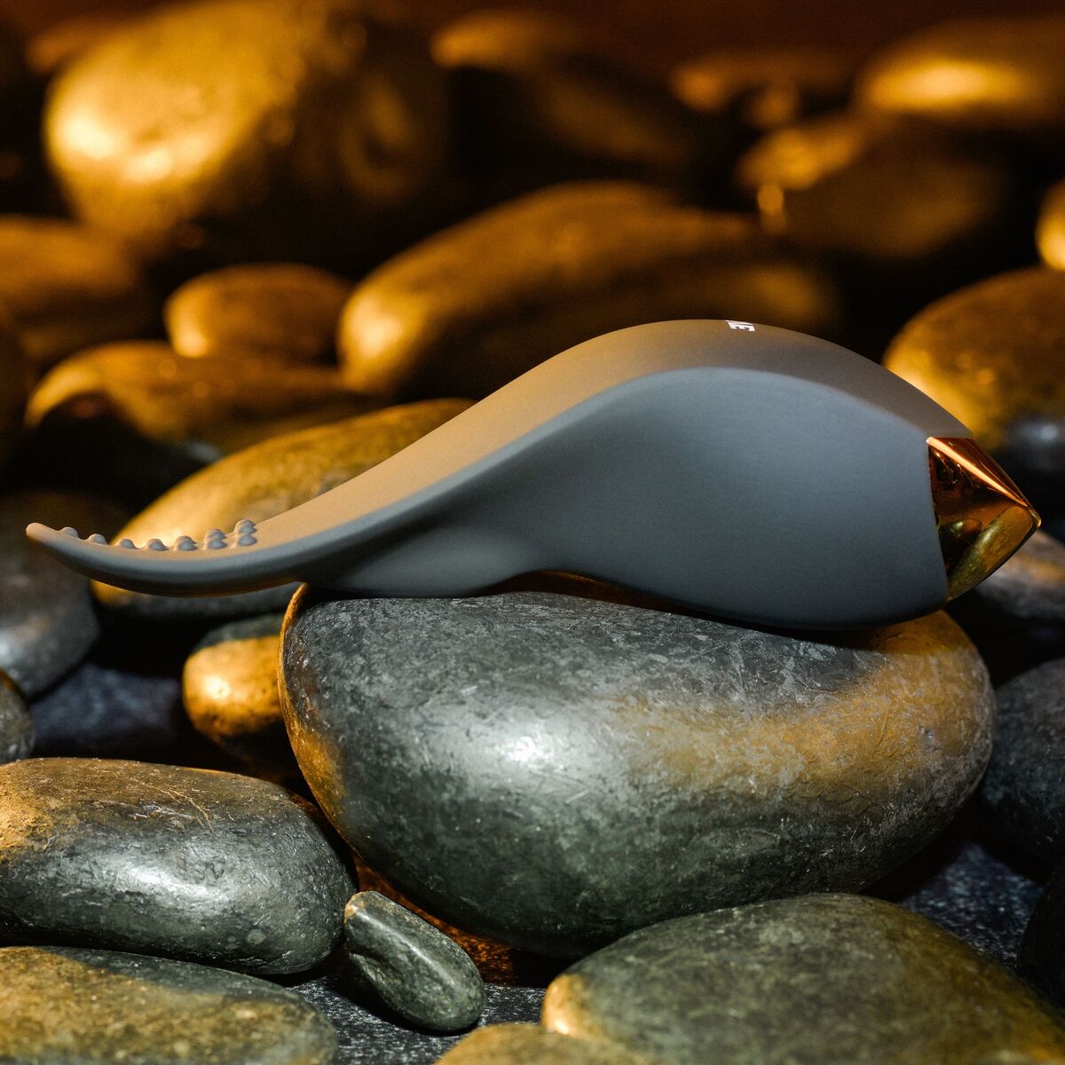 Massager Evolved Black Massager Evolved Black