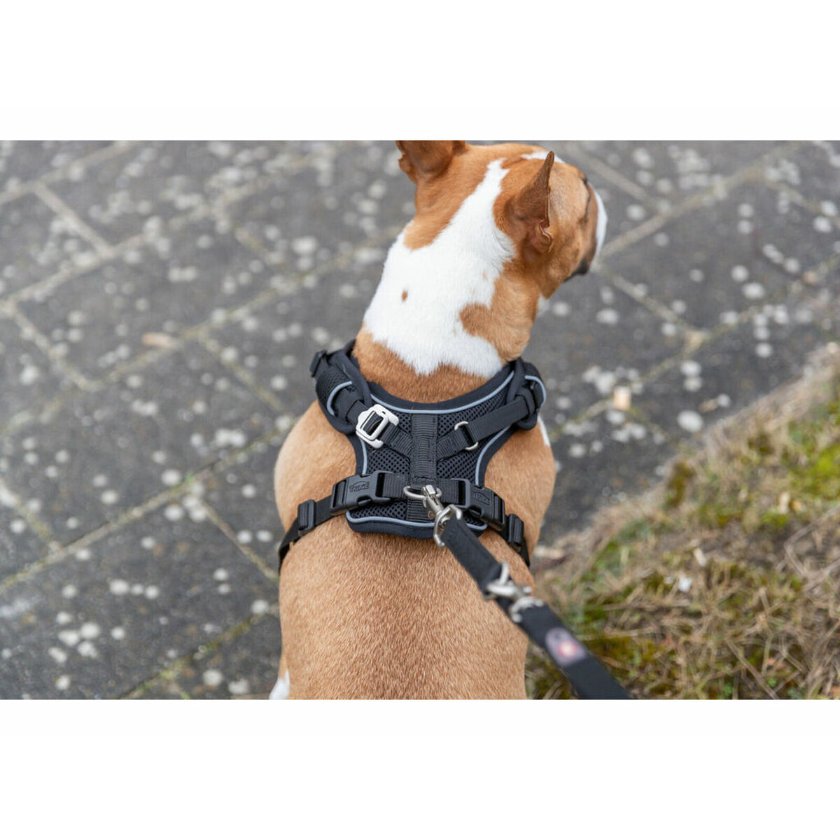 Dog Harness Trixie Premium FlexMesh Black XS/S Dog Harness Trixie Premium FlexMesh Black XS/S