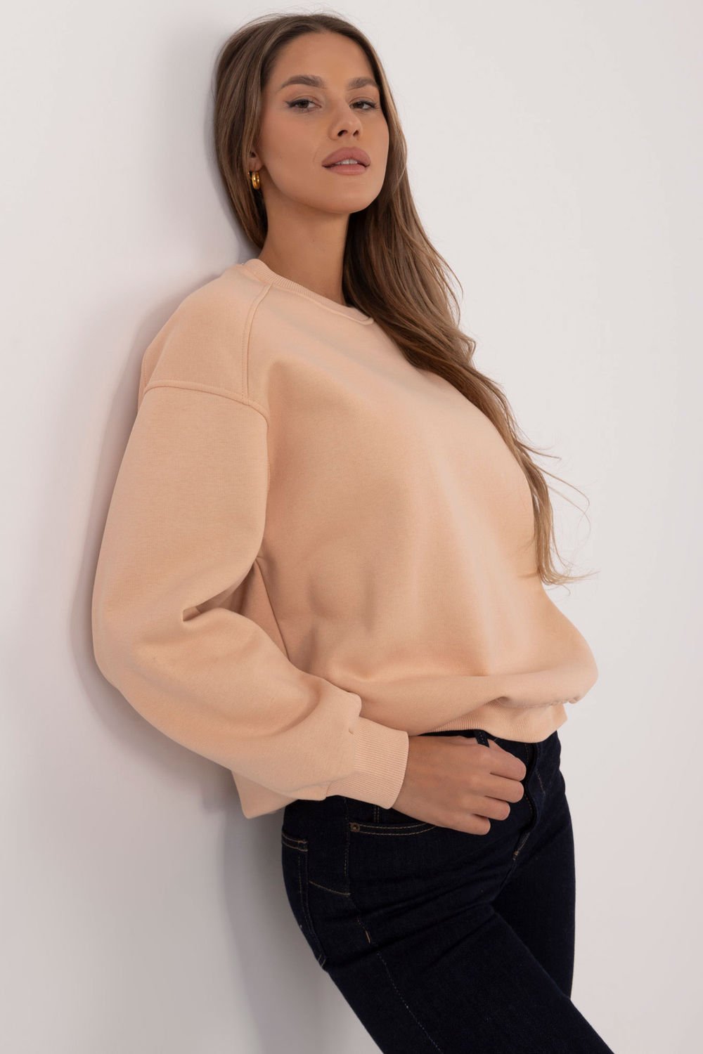  Sweatshirt model 204416 Factory Price  brown