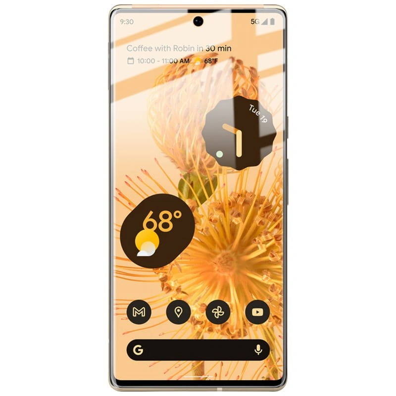 Bizon Glass Hydrogel Google Pixel 6 Pro [2 PACK]