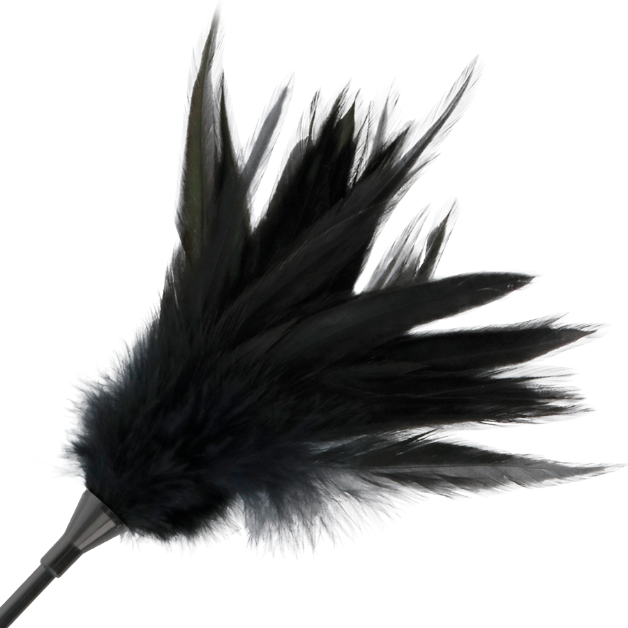 DARKNESS - BLACK FEATHER WHIP