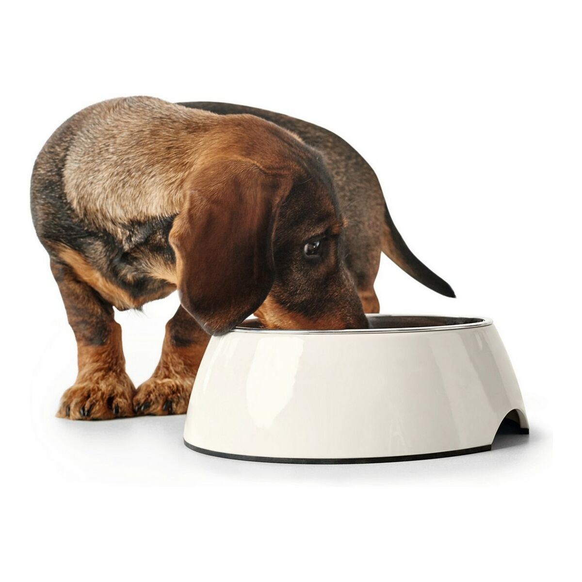 Dog Feeder Hunter Stainless steel Melamin White (14,5 x 14,5 x 7 cm)