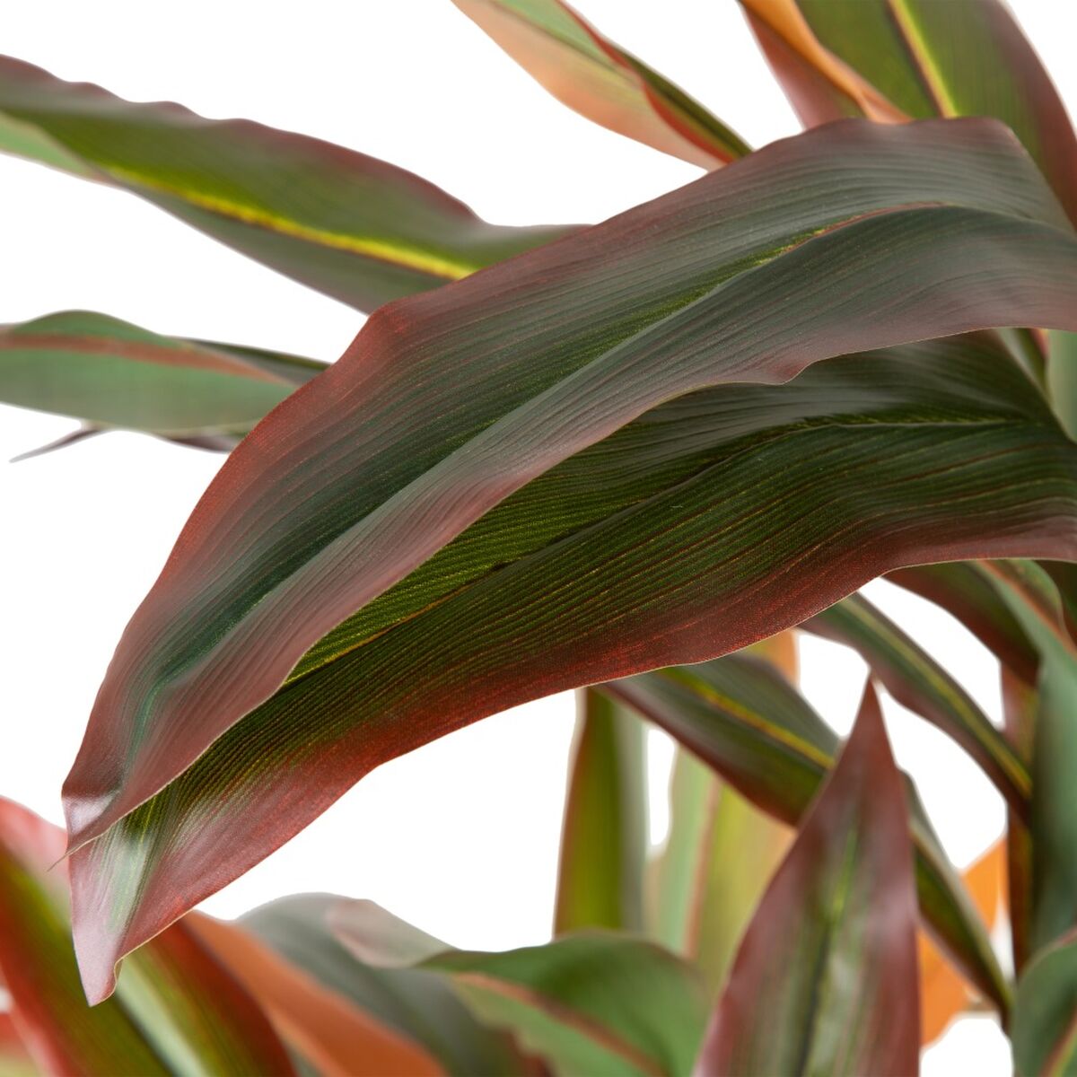 Decorative Plant Dracaena Brown Green PVC 140 cm