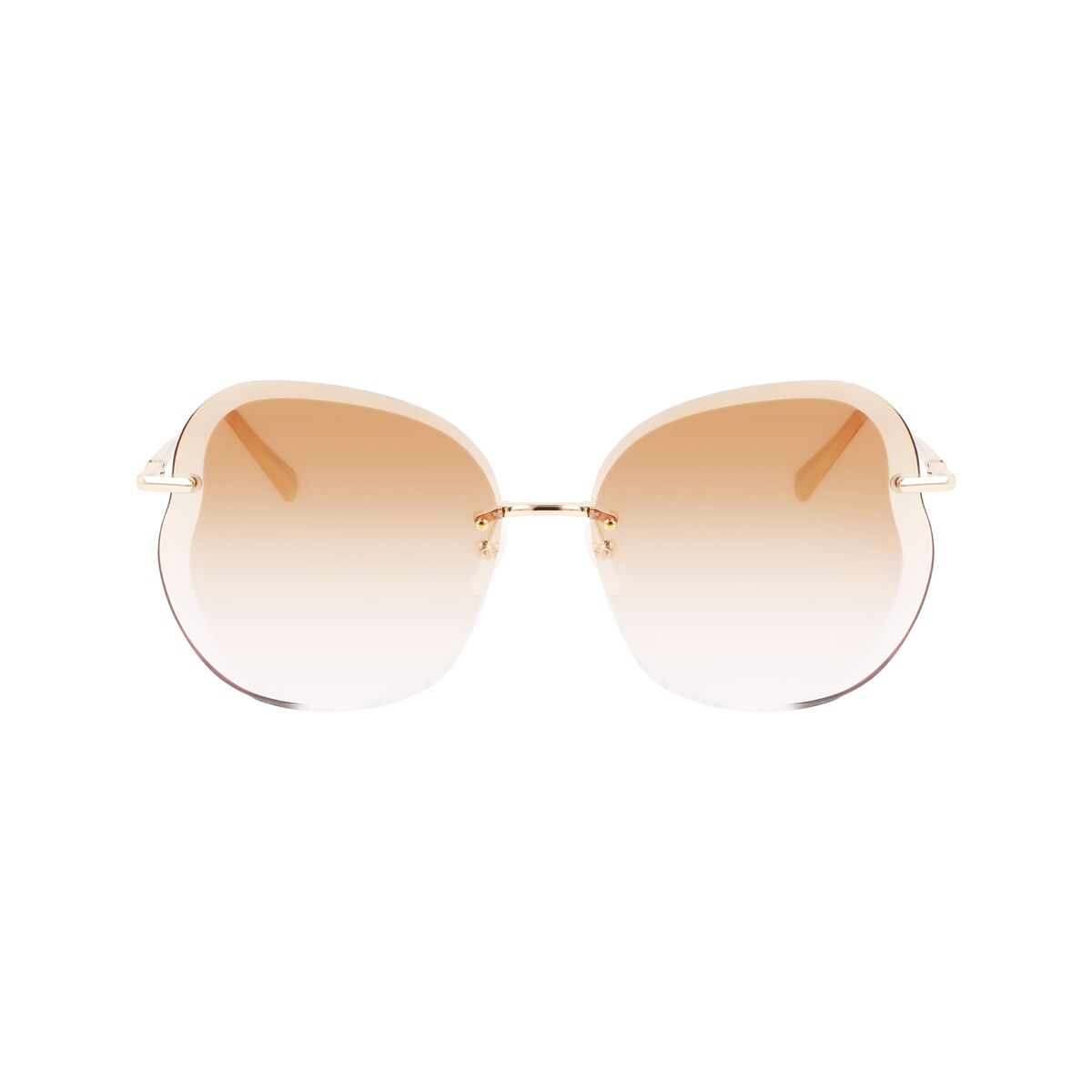 Ladies' Sunglasses Longchamp LO160S-707