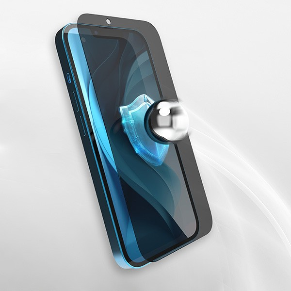 GrizzGlass SecretGlass Samsung Galaxy Tab S9+ Plus