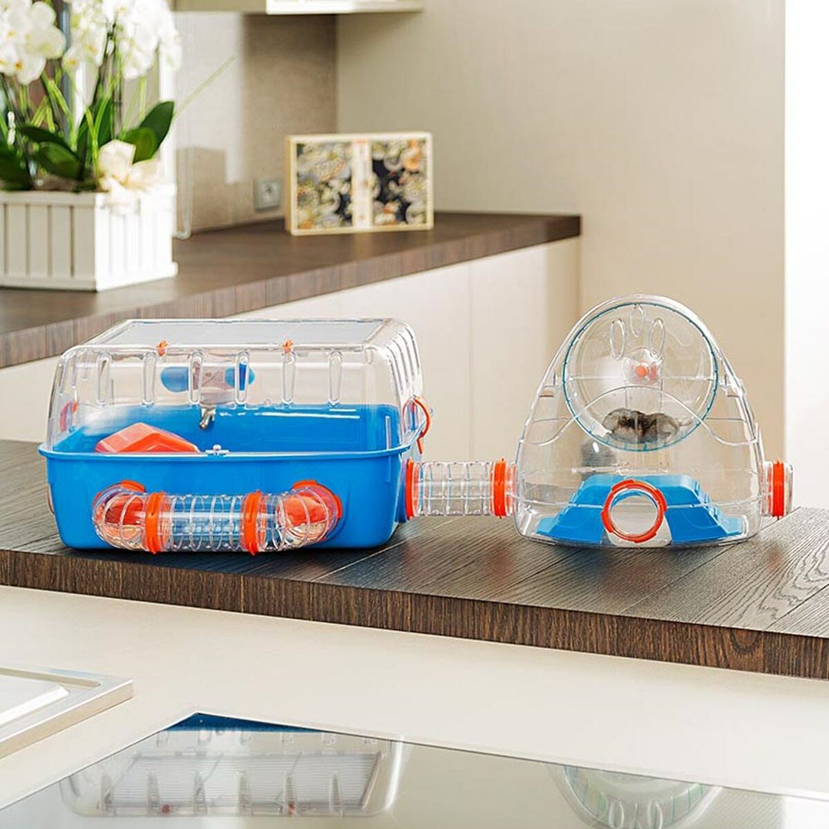 Cage Ferplast Combi 2 Plastic 79,5 x 29,5 x 29,5 cm Cage Ferplast Combi 2 Plastic 79,5 x 29,5 x 29,5 cm