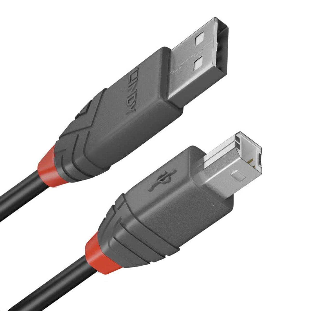 USB A to USB B Cable LINDY 36670 20 cm Black