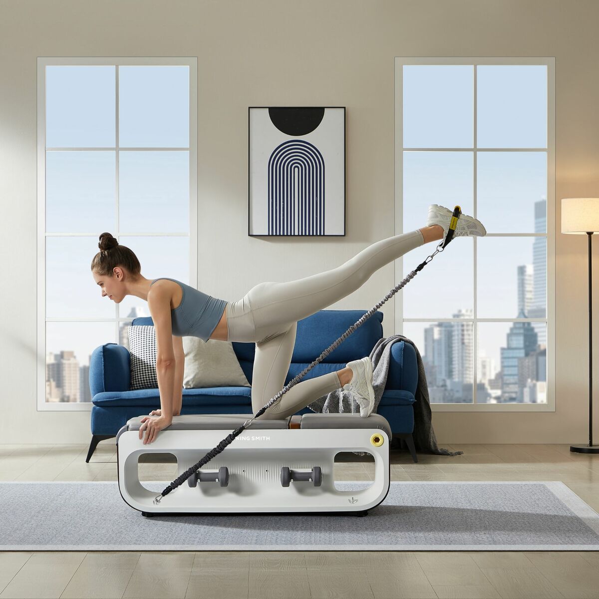 Multi-station Bodybuilding Bench Xiaomi FBB1C