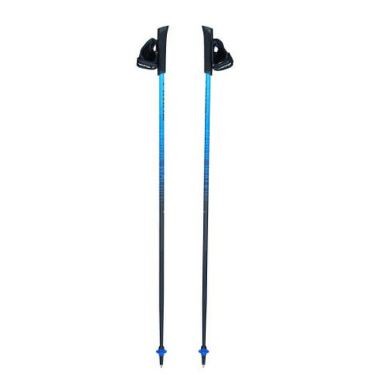 Trekking Stick Viking Pro-Trainer Blue Black 110 cm (2 Units)