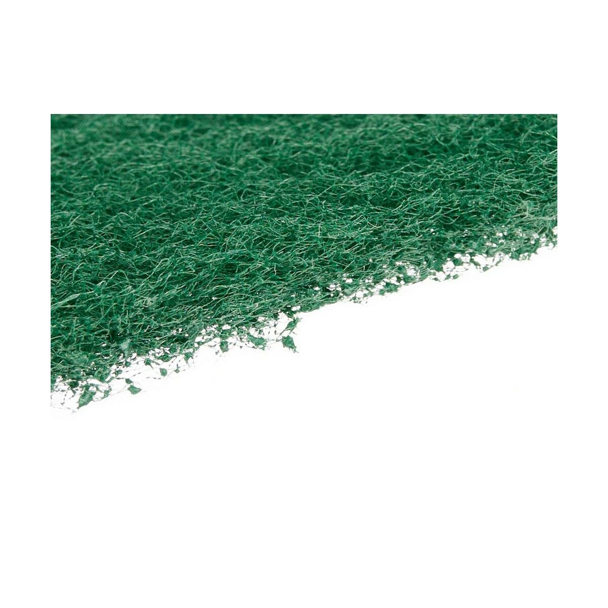 Set of scourers Green Abrasive fibre (22 Units)