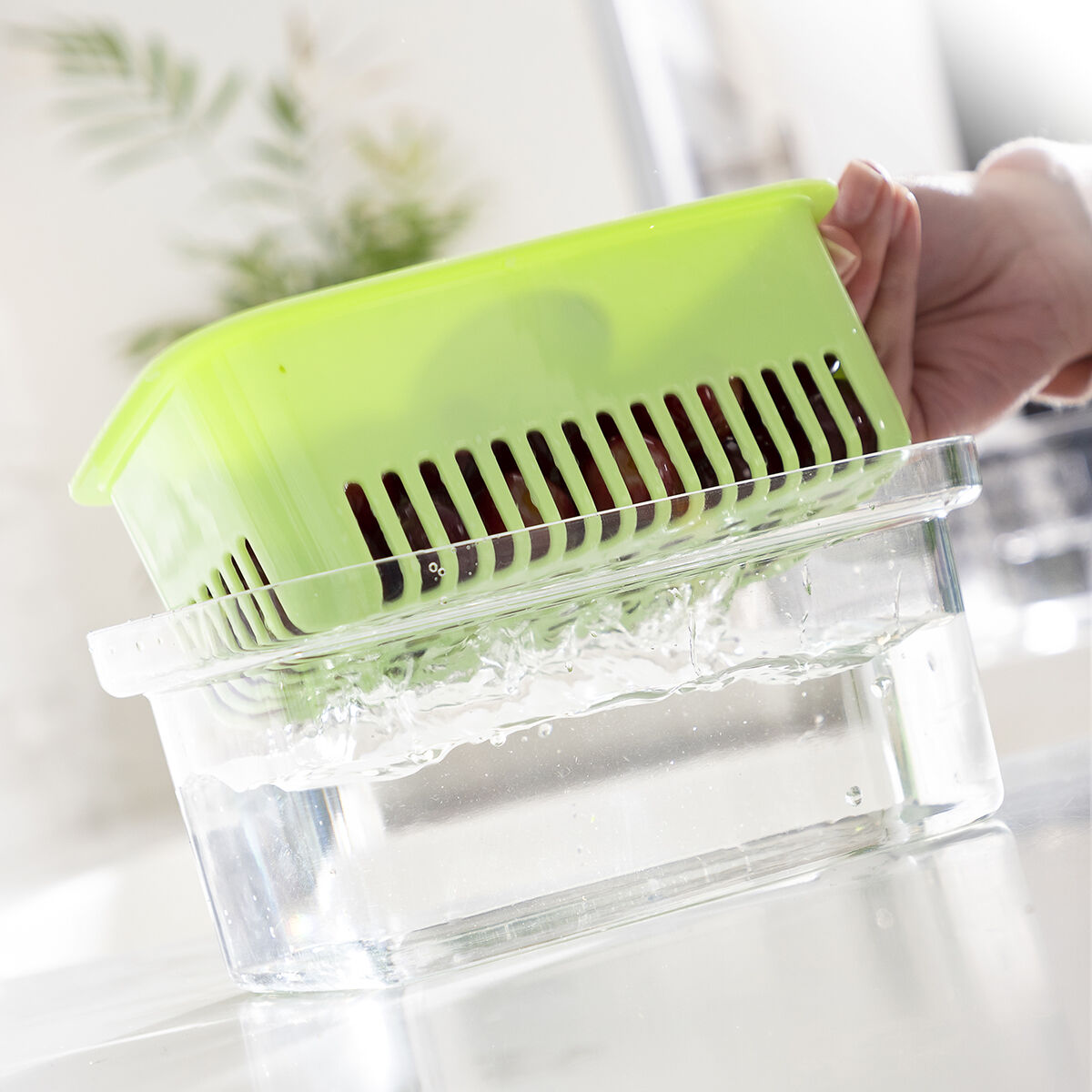 Food Preservation Container Prefo InnovaGoods Food Preservation Container Prefo InnovaGoods
