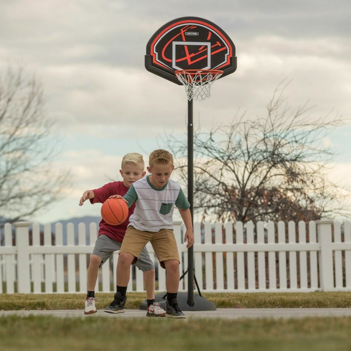 Basketball Basket Lifetime Laptop 222 cm