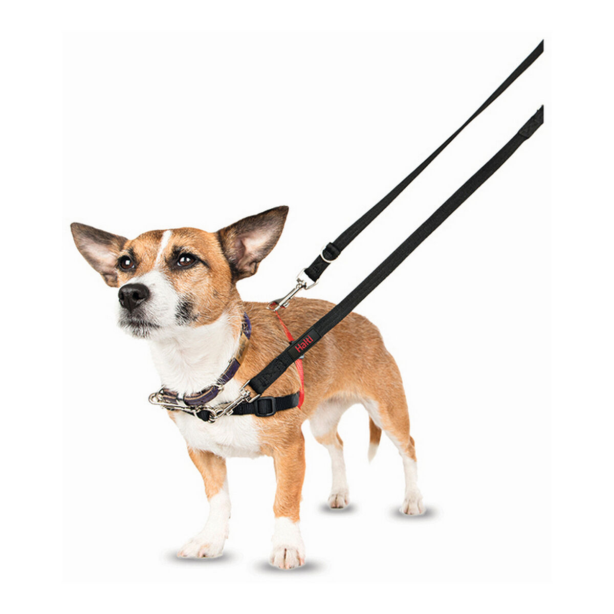 Dog Harness Company of Animals Halti Black/Red L (80-120 cm) Dog Harness Company of Animals Halti Black/Red L (80-120 cm)