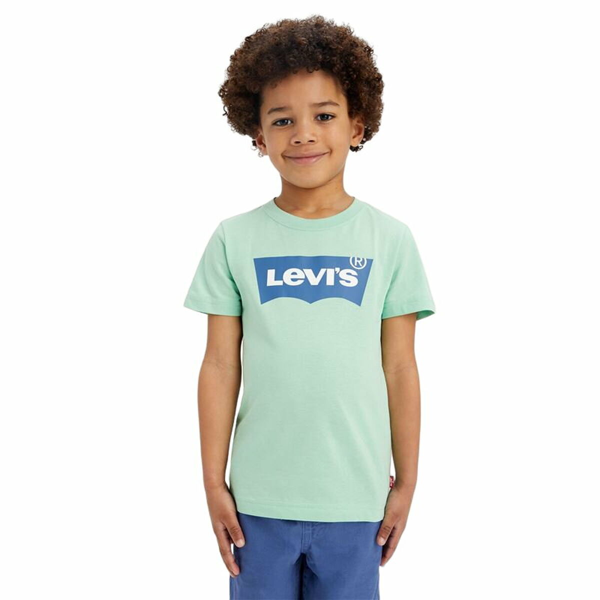 T-shirt Levi's Batwing Meadow Aquamarine T-shirt Levi's Batwing Meadow Aquamarine