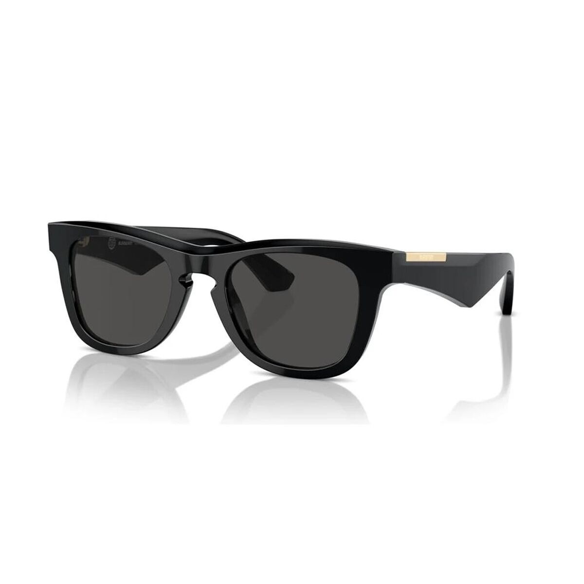 Men's Sunglasses Burberry BE 4426