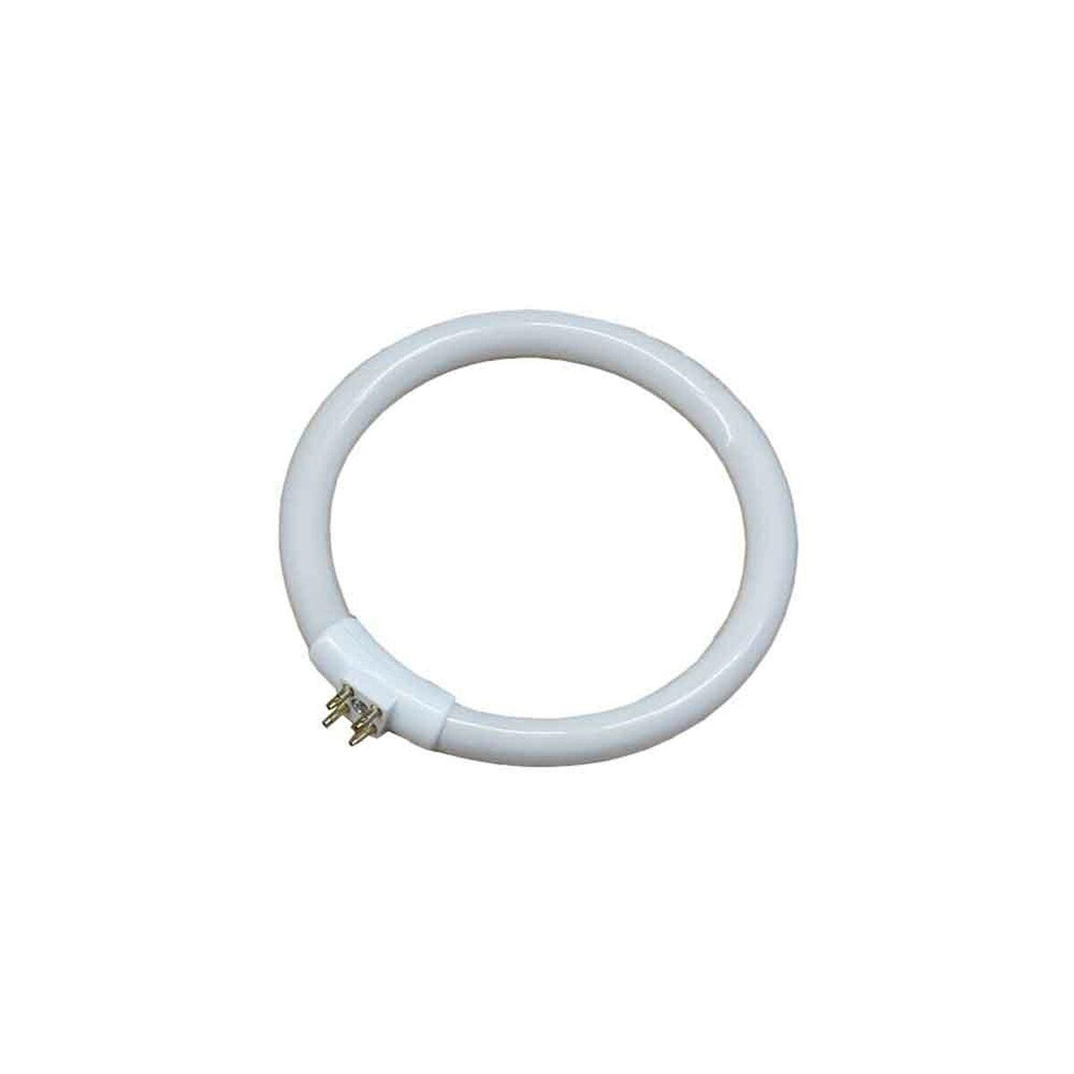 Fluorescent pipe EDM 30287 Replacement Circular T4 White 12 W (6500 K)