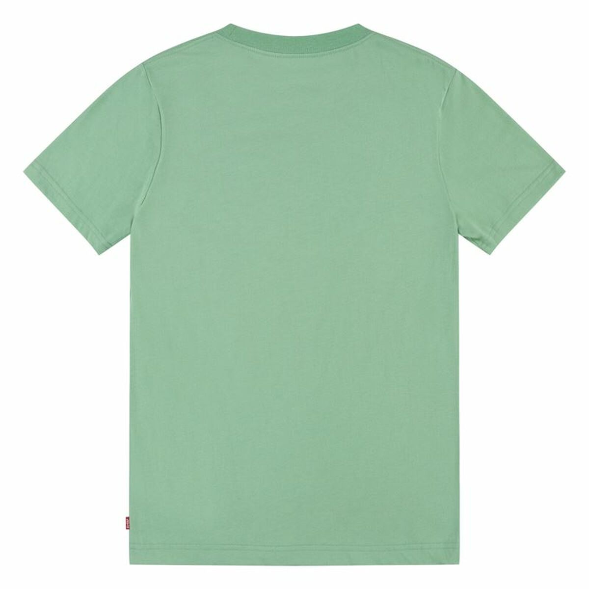 T-shirt Levi's Batwing Meadow Aquamarine T-shirt Levi's Batwing Meadow Aquamarine