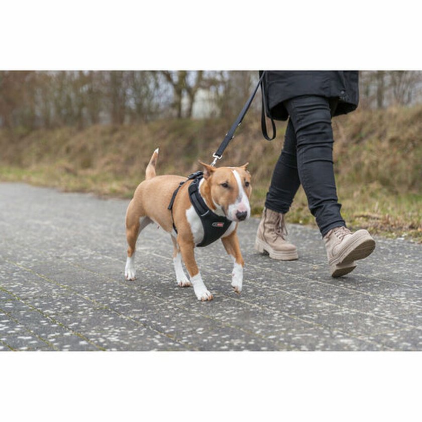 Dog Harness Trixie Premium FlexMesh Black XS/S Dog Harness Trixie Premium FlexMesh Black XS/S