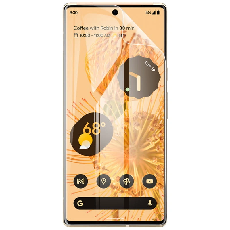 Bizon Glass Hydrogel Google Pixel 6 Pro [2 PACK]