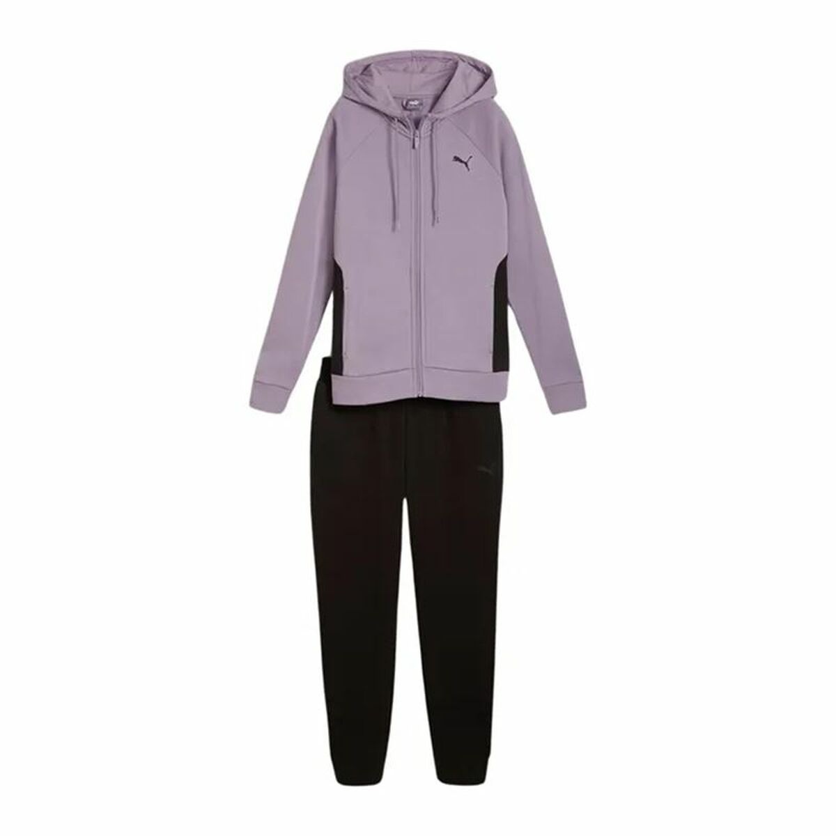 Women's Tracksuit Puma Classic Hooded Tracksuit Fl 2 Pieces