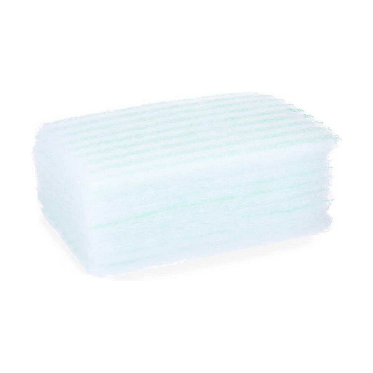 Sponges Soap Blue White (12 Units)