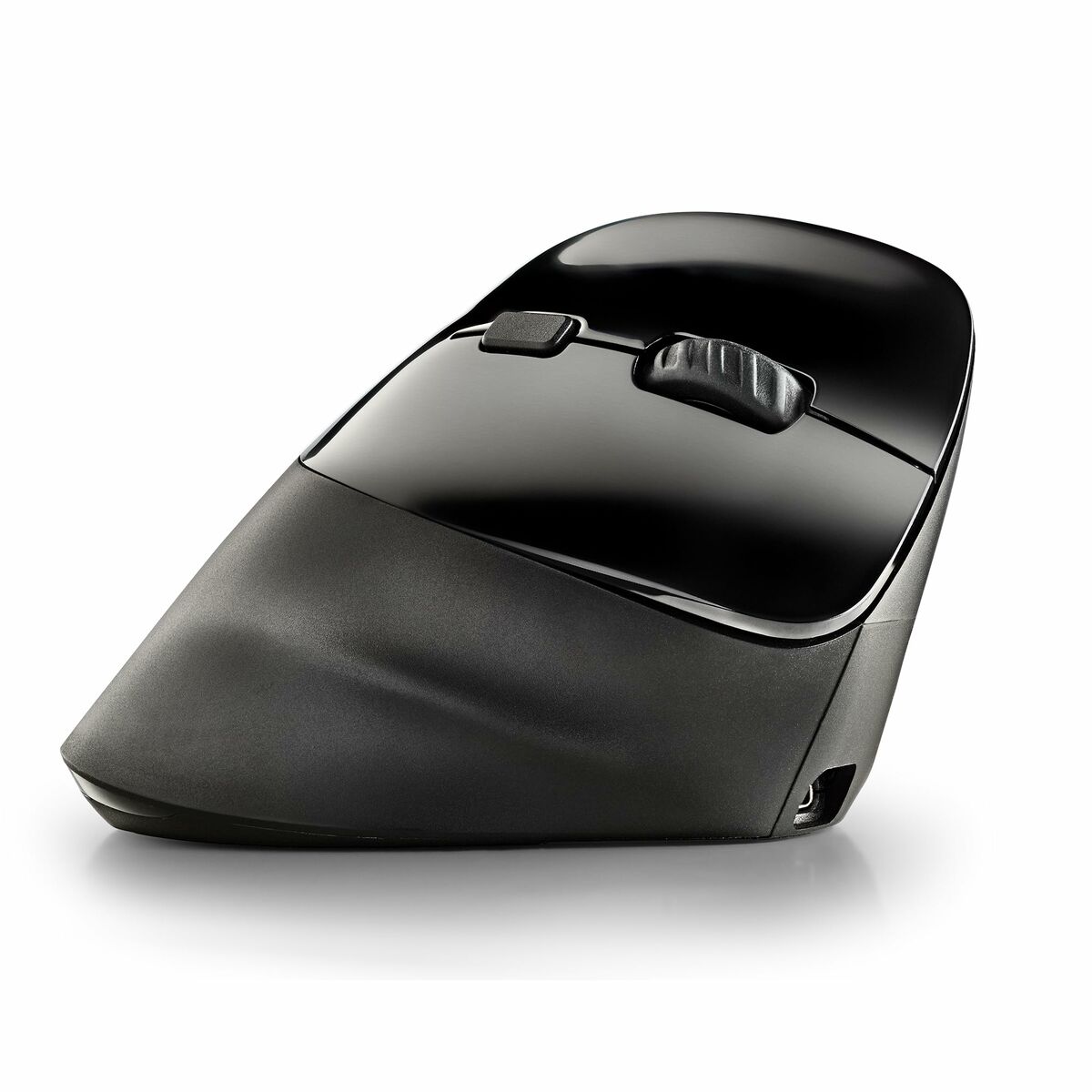 Mouse NGS Mouse NGS