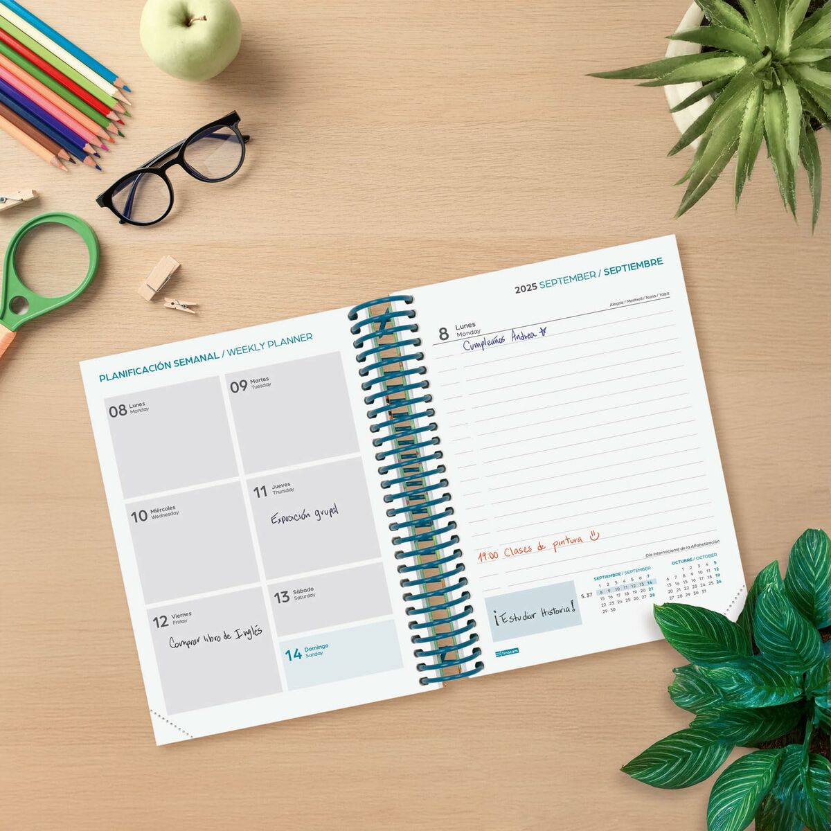 Diary Finocam