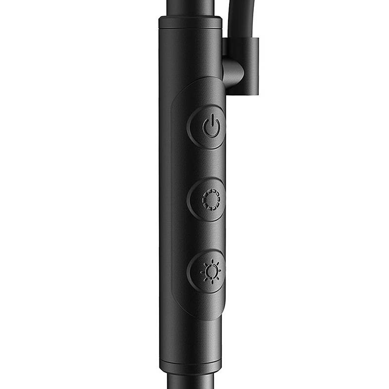 Blitzwolf BWL-FL-0001 Double Floor Lamp with Remote Control 36W (black)