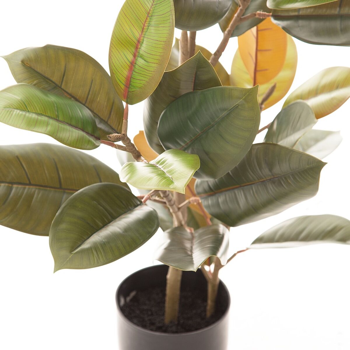 Decorative Plant 36 x 37 x 90 cm PVC Fig Tree Dark green