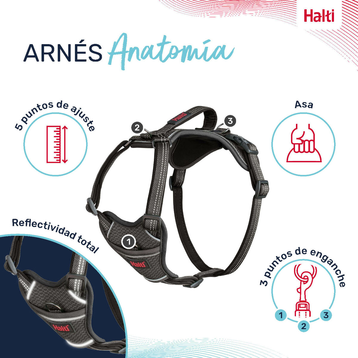 Dog Harness Company of Animals Grey XS 20-32 cm