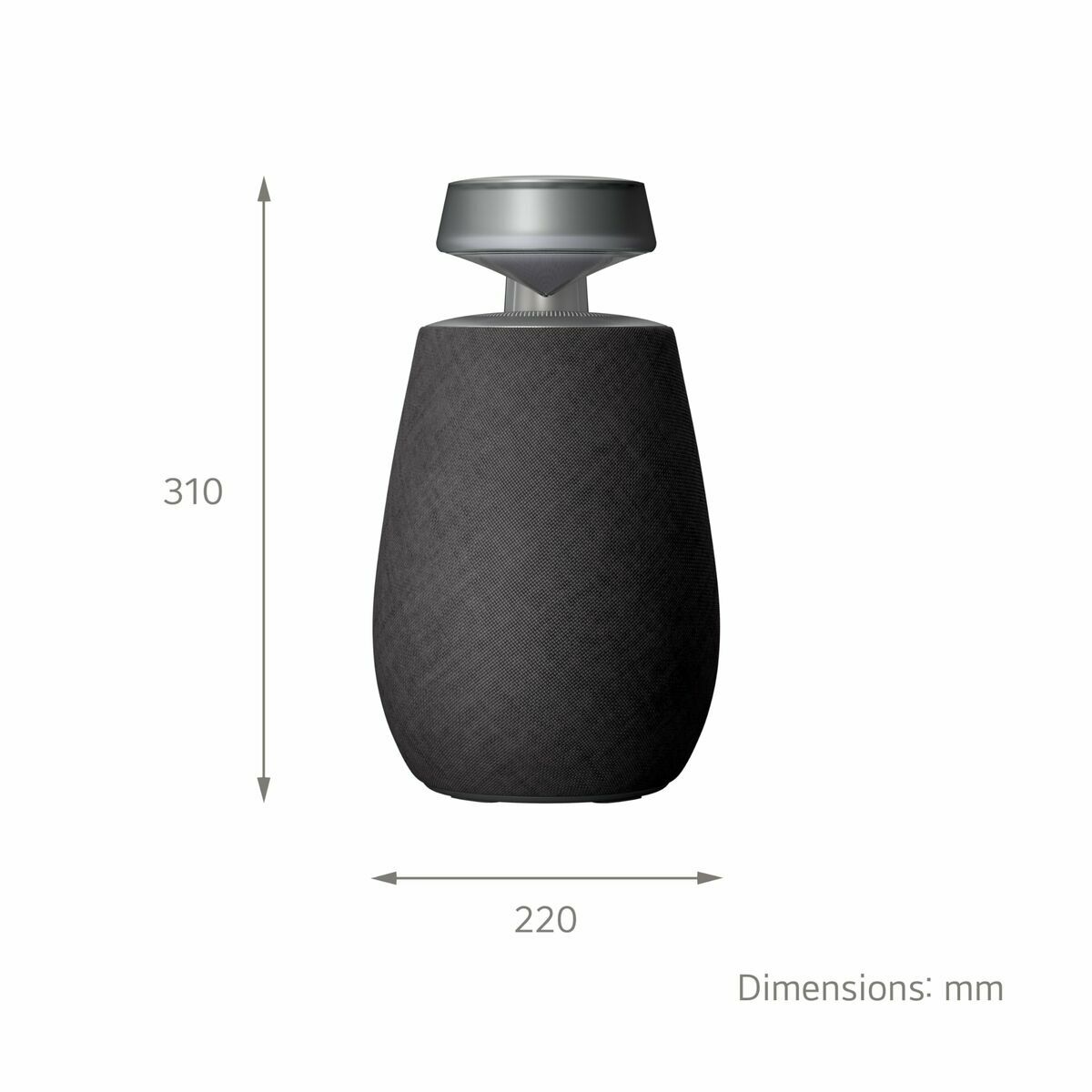 Portable Bluetooth Speakers LG XG2TBK Black 5 W