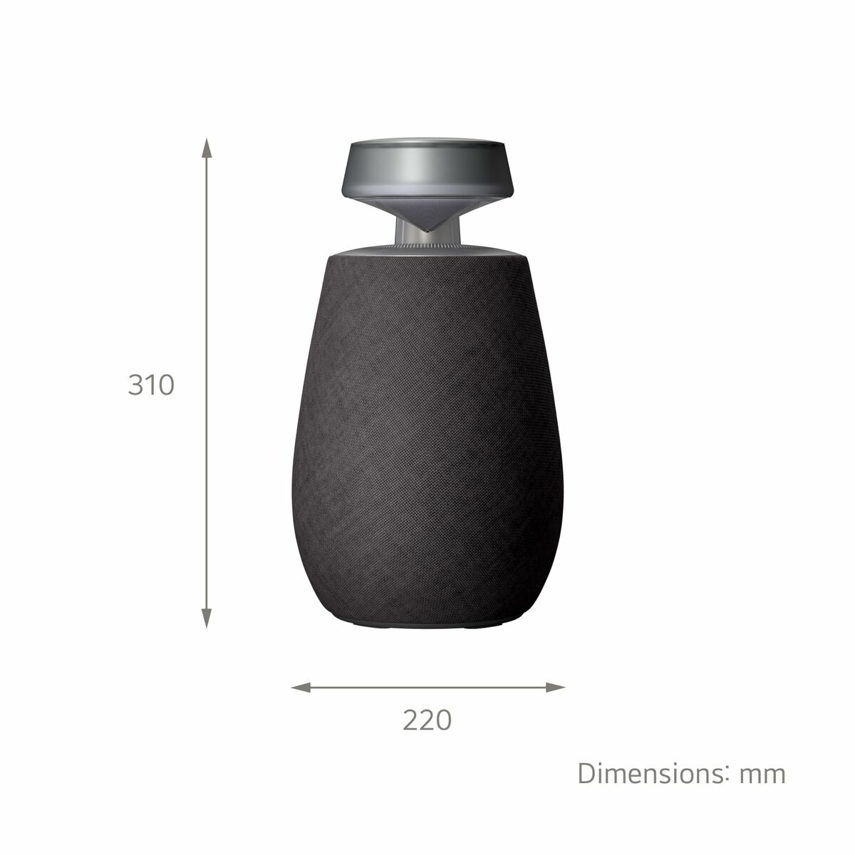 Portable Bluetooth Speakers LG XG2TBK Black 5 W