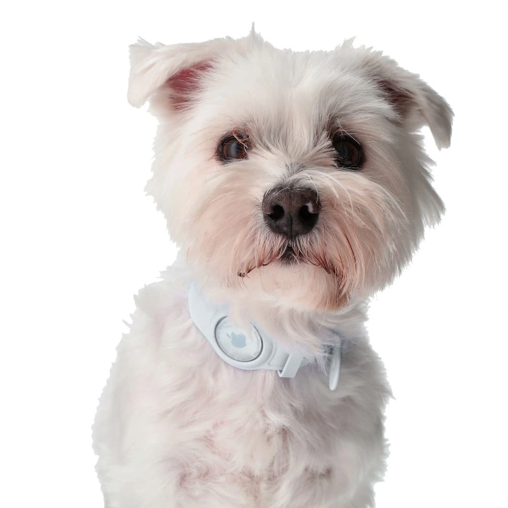 Bizon Case Locator Pets Apple AirTag white