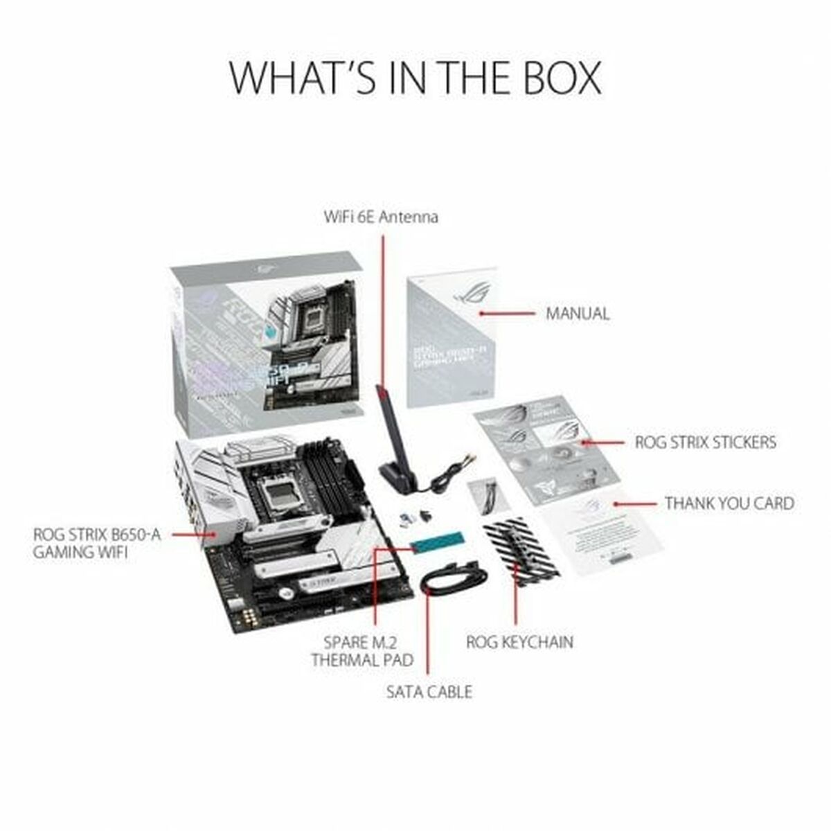 Motherboard Asus AMD AM5 AMD AMD B650 Motherboard Asus AMD AM5 AMD AMD B650