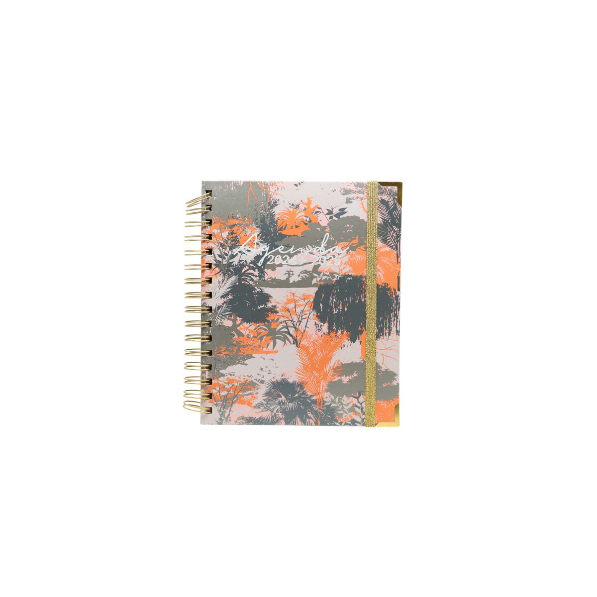 Diary Sweetcolor 2024-2025