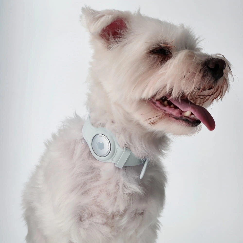Bizon Case Locator Pets Apple AirTag white