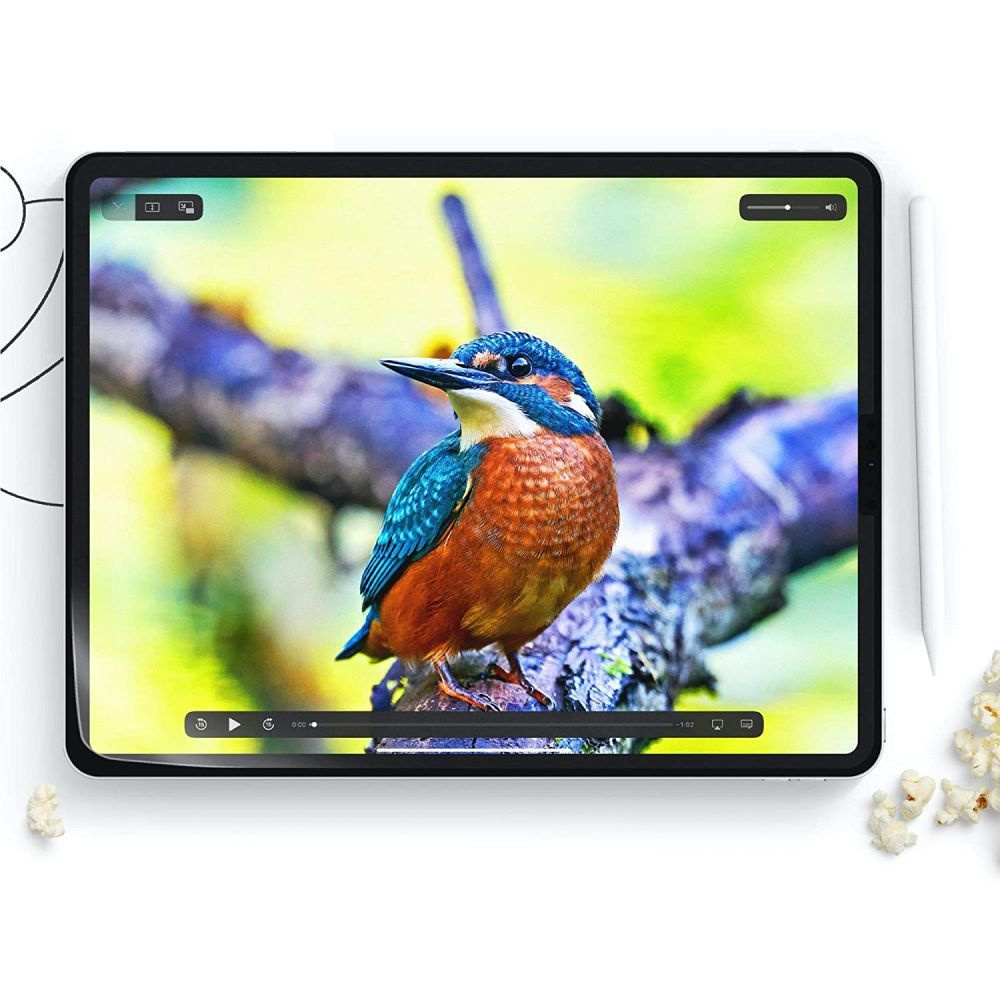 Hofi Paper Pro+ Apple iPad Pro 11 (5 gen) 2024 Matte Clear [2 PACK]