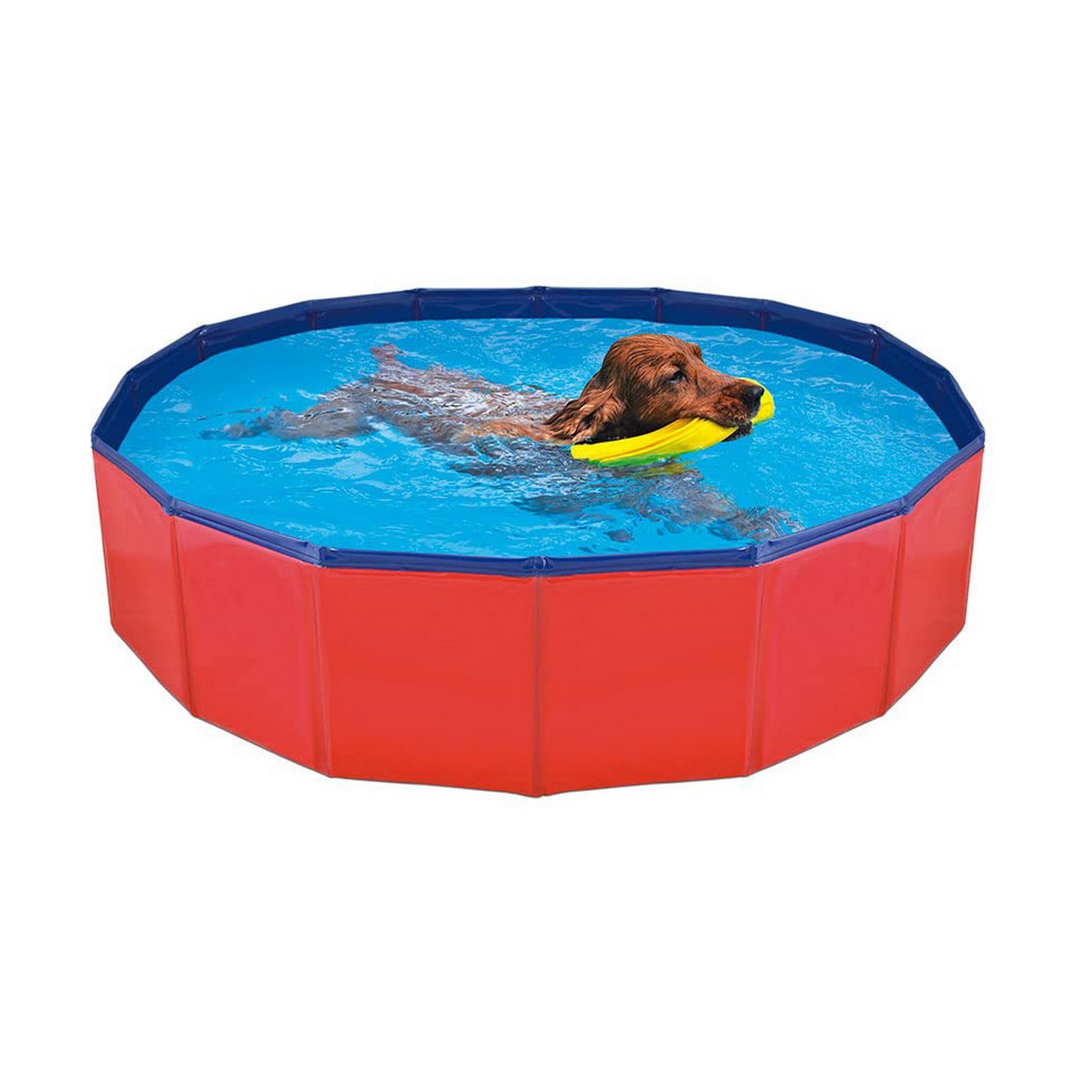 Schwimmbad Abnehmbar Nayeco Hund