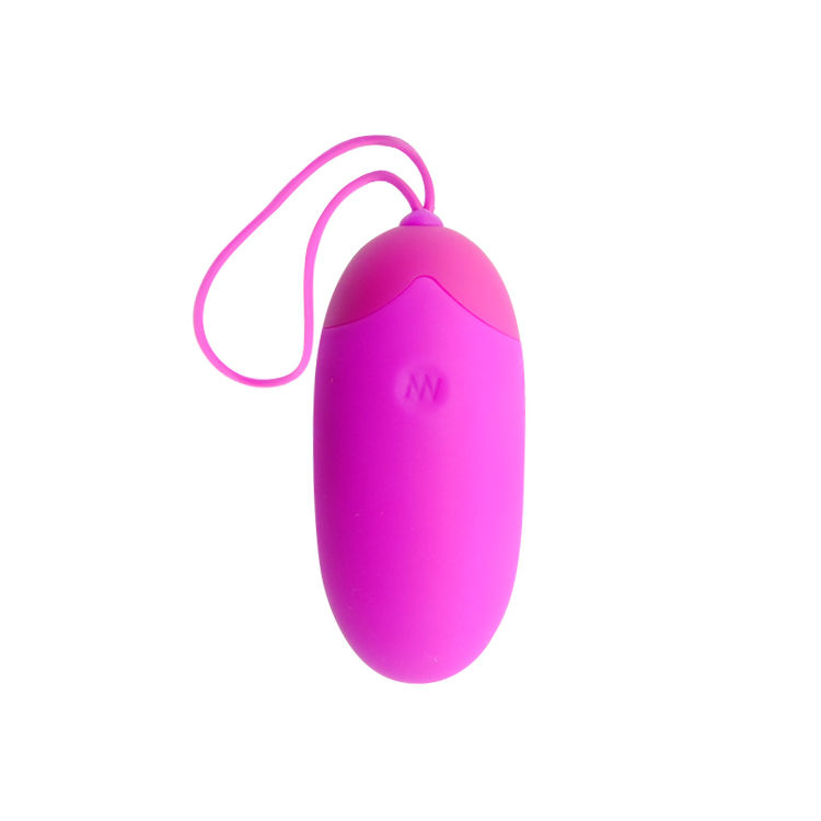 PRETTY LOVE EGG BERGER REMOTE CONTROL 12V