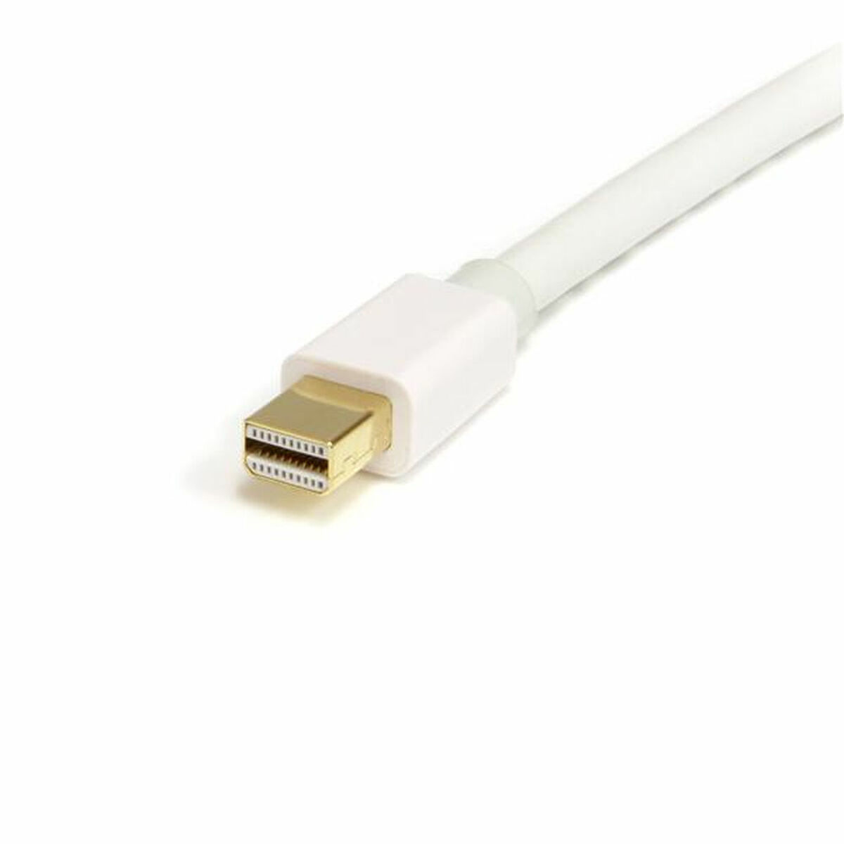 Mini-DisplayPort-Kabel zu DisplayPort Startech MDP2DPMM2MW          (2 m) Weiß 4K Ultra HD