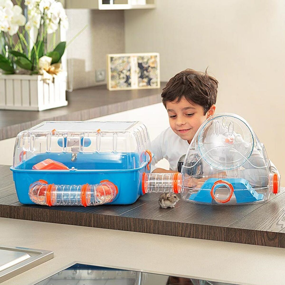 Cage Ferplast Combi 2 Plastic 79,5 x 29,5 x 29,5 cm Cage Ferplast Combi 2 Plastic 79,5 x 29,5 x 29,5 cm