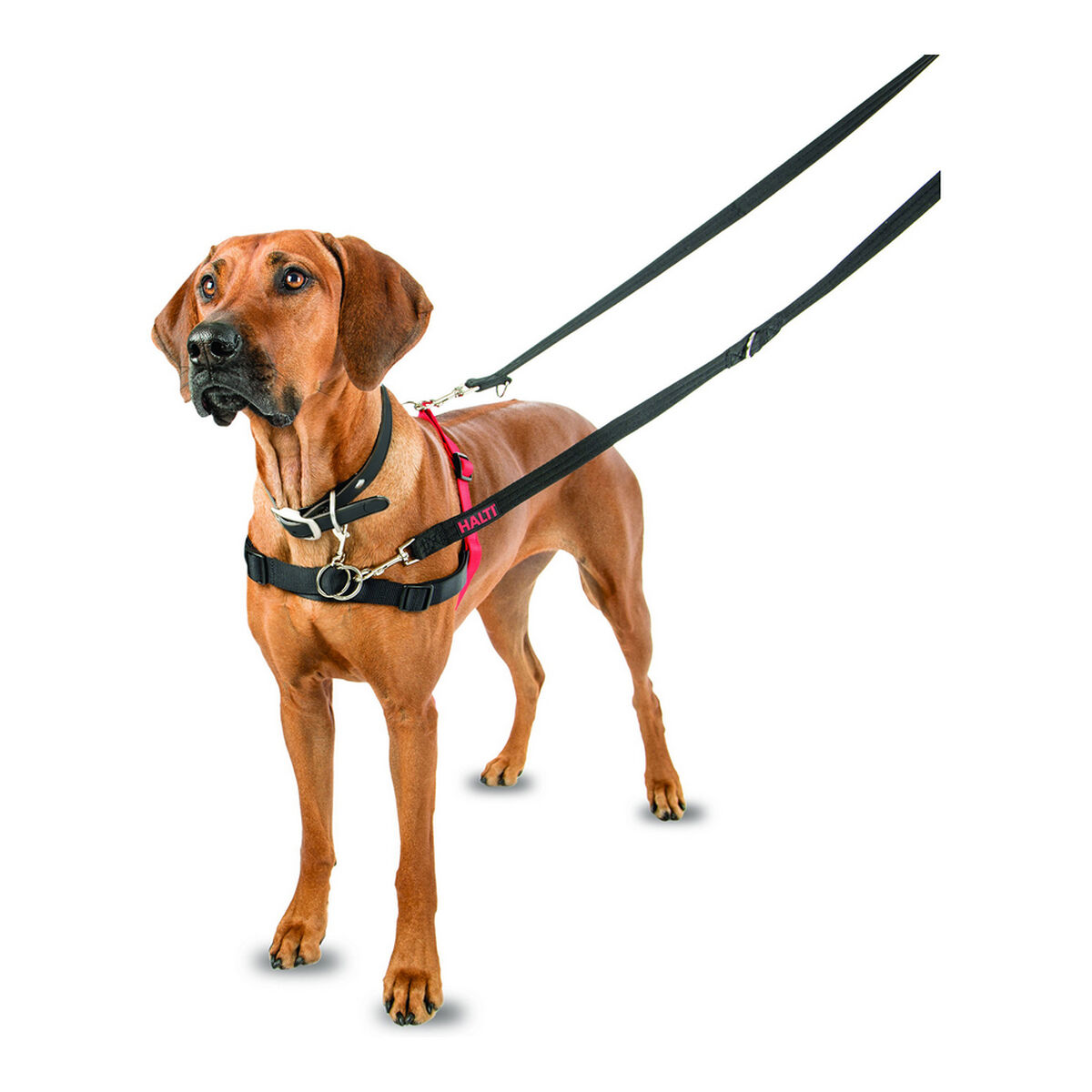Dog Harness Company of Animals Halti Black/Red L (80-120 cm) Dog Harness Company of Animals Halti Black/Red L (80-120 cm)