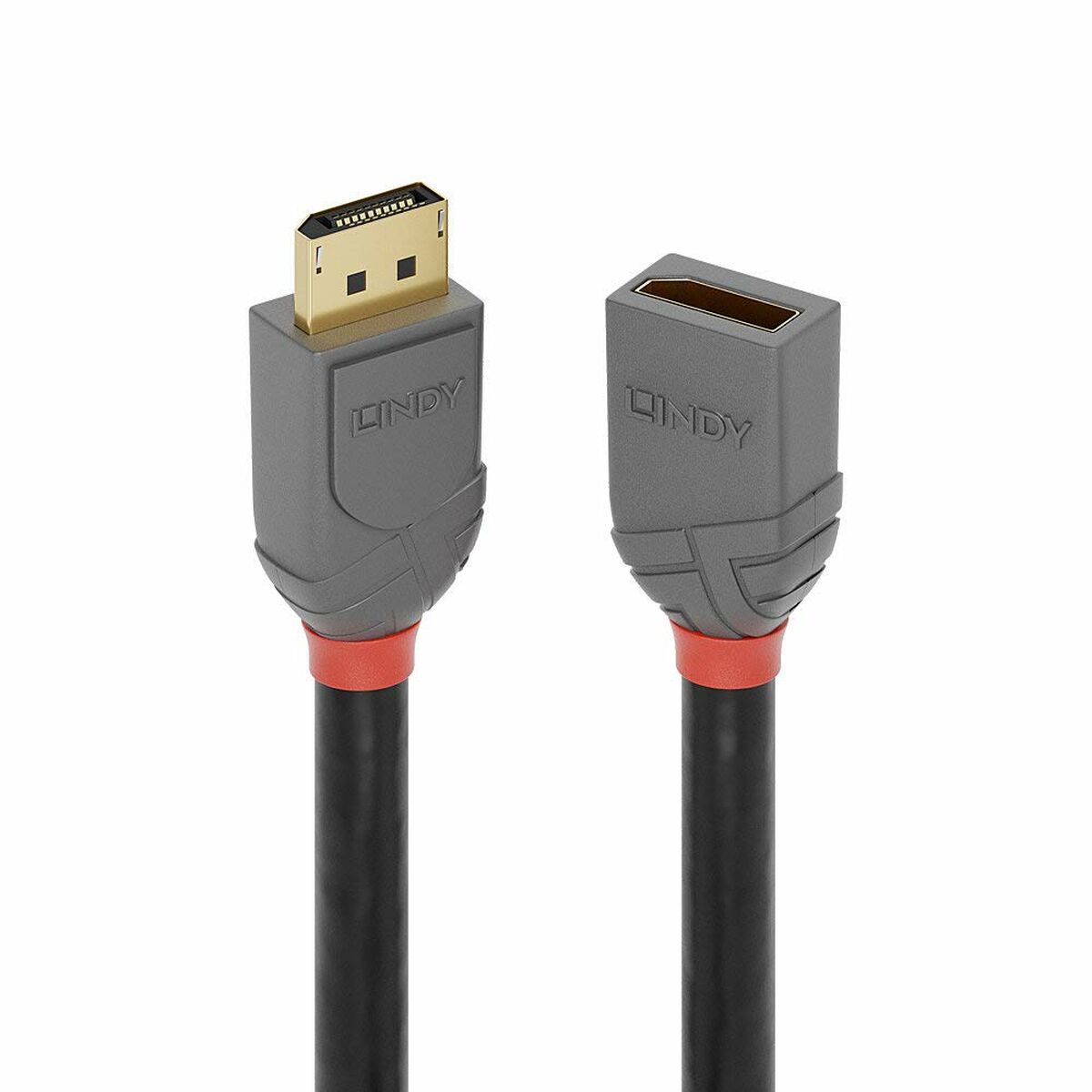 DisplayPort-Kabel LINDY 36495 Schwarz