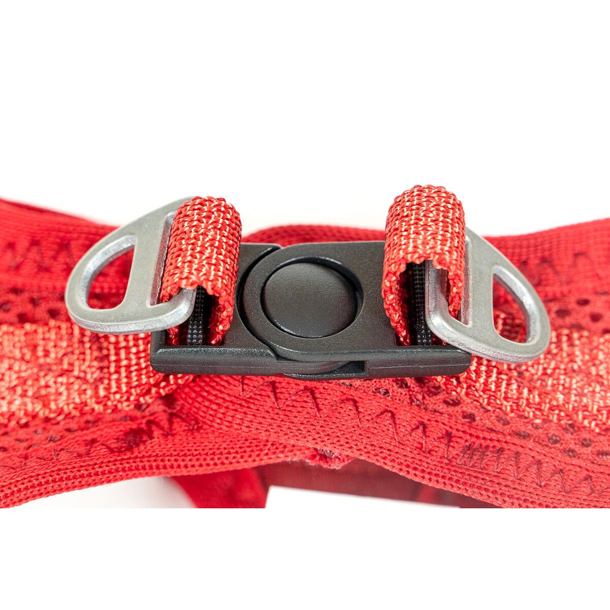 Dog Harness Gloria Trek Star 29,4-32,6 cm 41,4-43 cm Red S