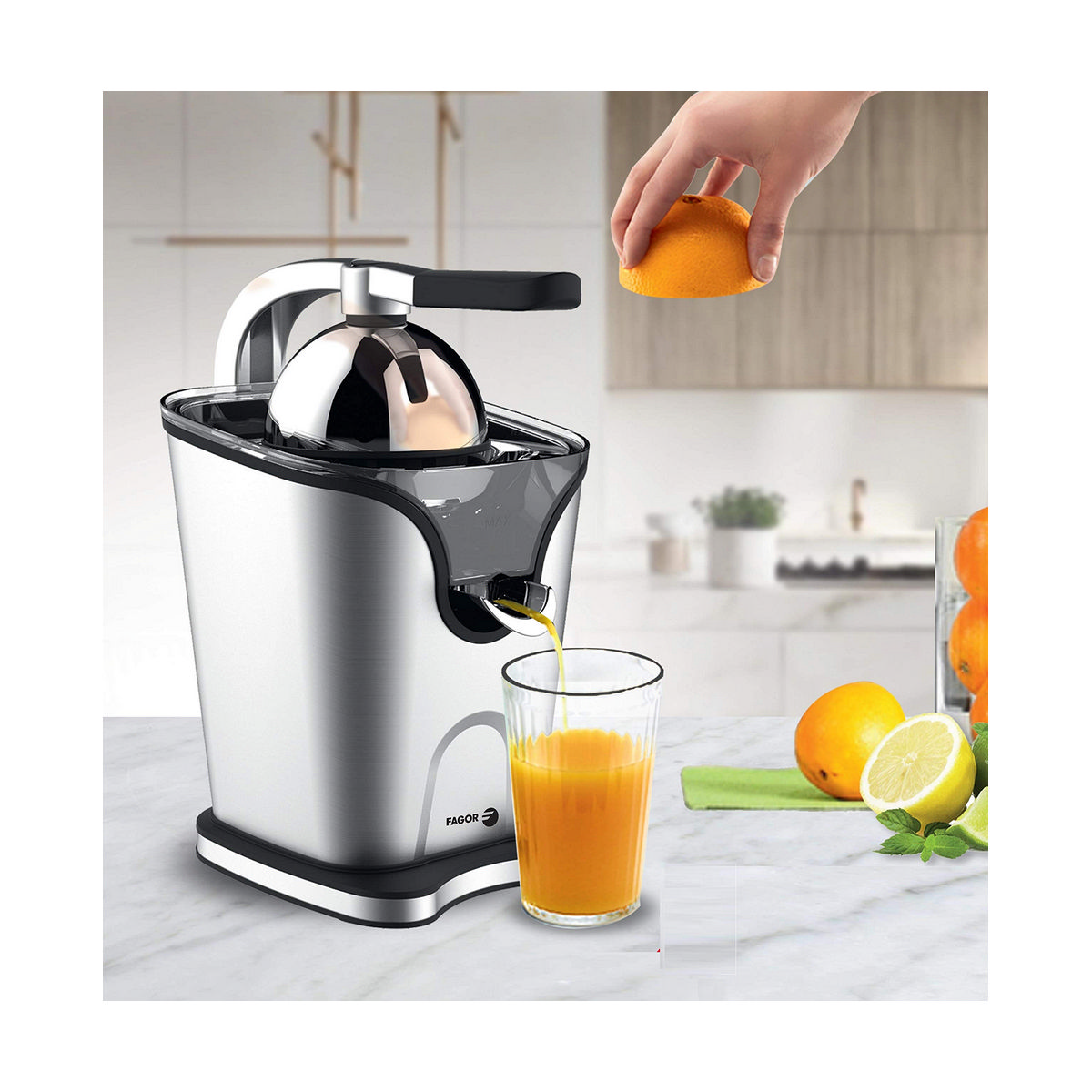 Electric Juicer FAGOR Stainless steel 100W