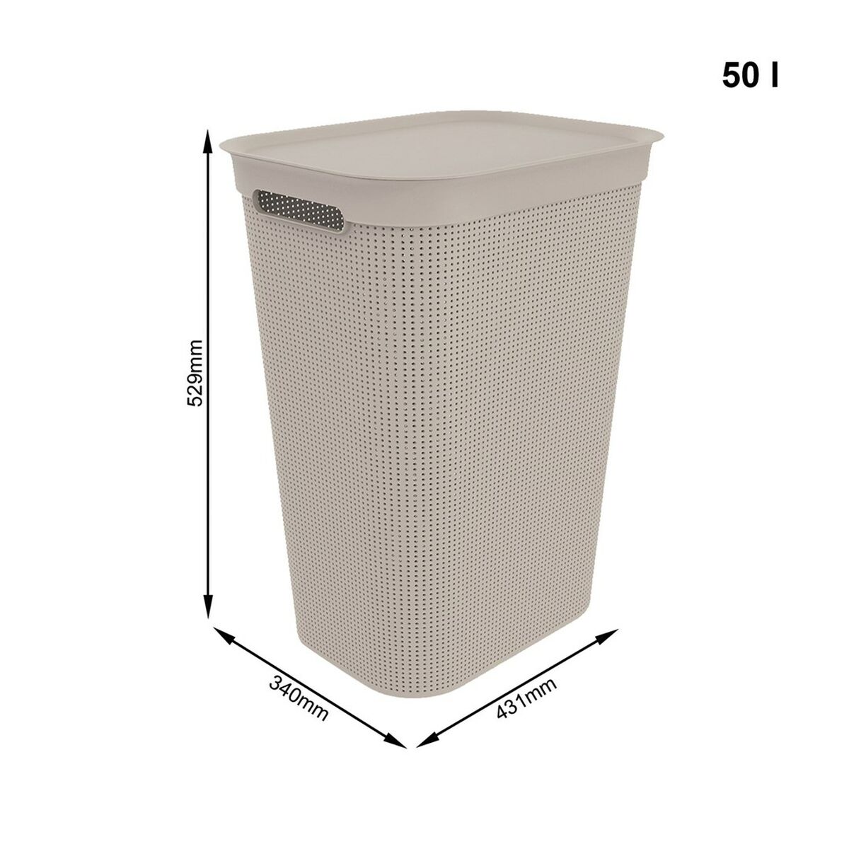 Cat Feeder Rotho 1023507422 Plastic